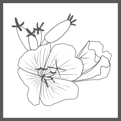 ingredient_epo_bw