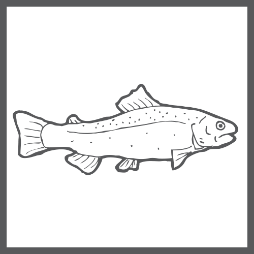 ingredient_fish_bw