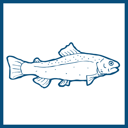ingredient_fish_color