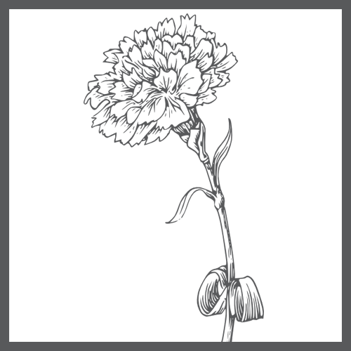 ingredient_lutein_bw