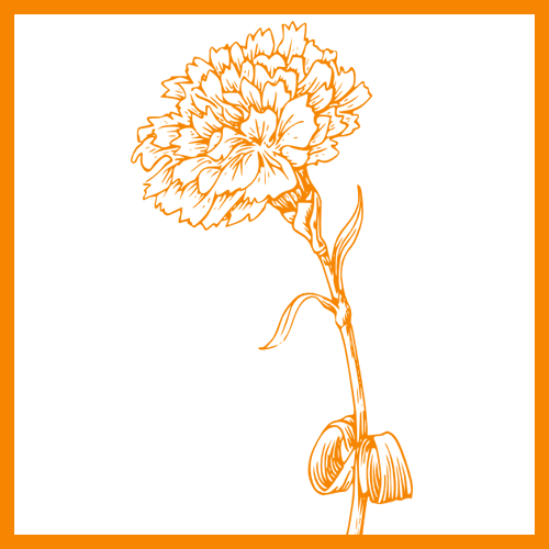 ingredient_lutein_color