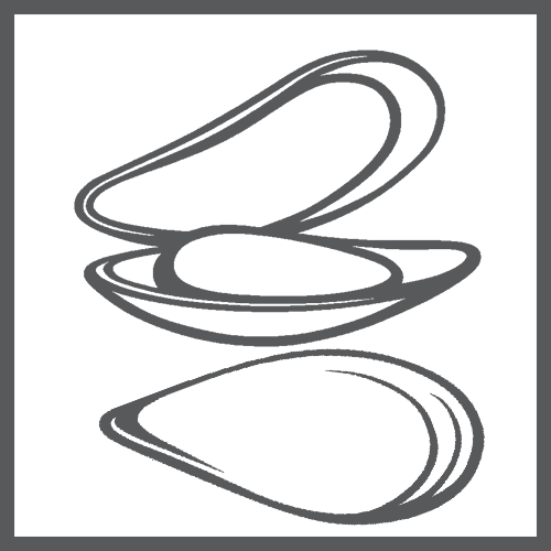 ingredient_mussel_bw