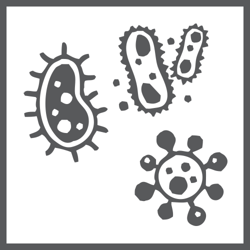 ingredient_probiotics_bw