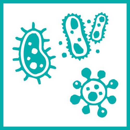 ingredient_probiotics_color